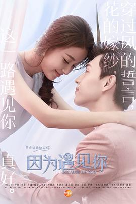 因为遇见你(DVD版)