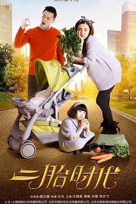 二胎时代(DVD版)