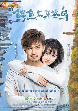 鳄鱼与牙签鸟(DVD版)