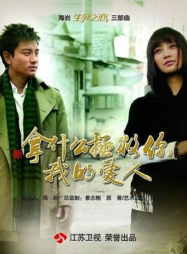 拿什么拯救你,我的爱人(2011)